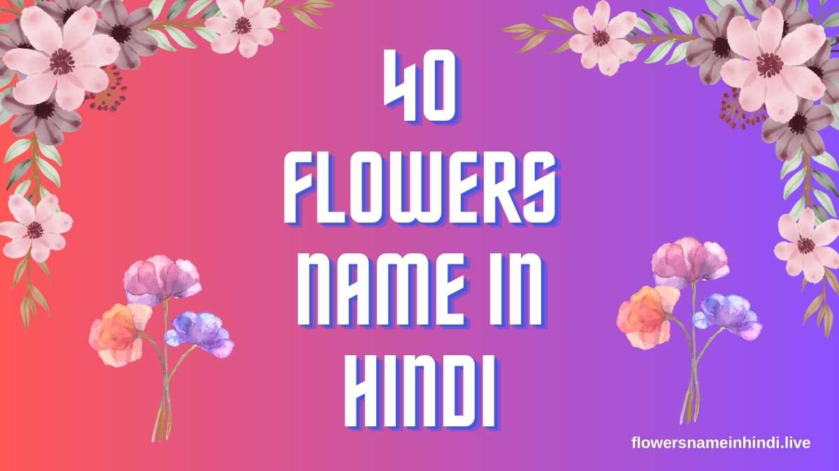 40 Flowers Name in Hindi