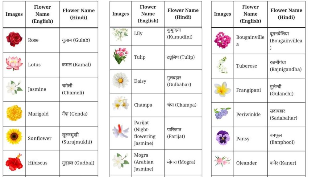 Flowers Name In Hindi List