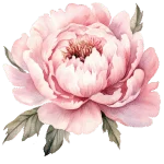 Peony