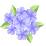 Plumbago