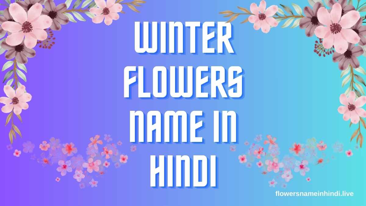 Winter Flowers Name in Hindi